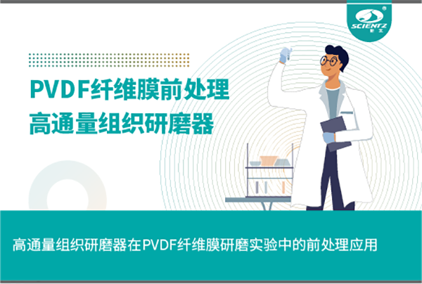 高通量組織研磨器在PVDF纖維膜研磨實驗中的前處理應用
