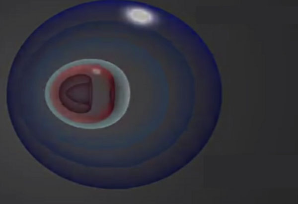 細胞結(jié)構(gòu)圖